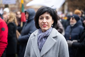 V. Aleknavičienė: Seime reikėtų pertraukos dėl siūlymų naujai LRT vadovo atleidimo tvarkai