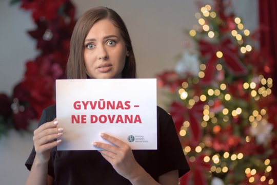 5 priežastys, kodėl gyvūnas – ne dovana: įspėja apie liūdnas pasekmes