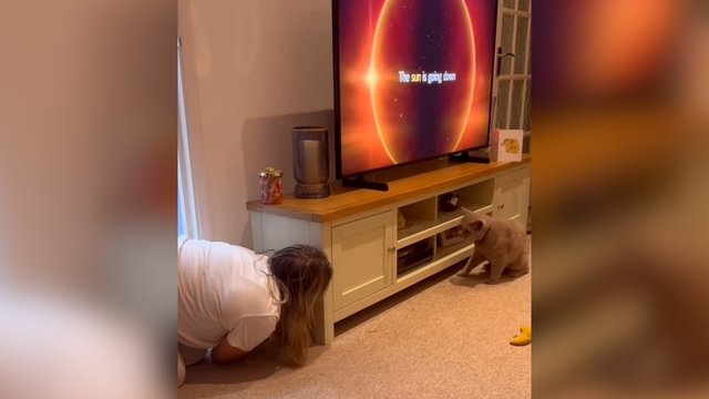 Slėpynės – ne pagal planą: pamatykite, kaip keturkojis pergudravo šeimininkę