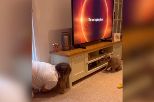 Slėpynės – ne pagal planą: pamatykite, kaip keturkojis pergudravo šeimininkę