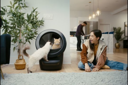 Automatinė kraiko dėžė keičia kačių augintojų kasdienybę: mažiau kvapų, daugiau patogumo