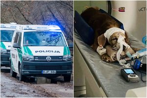 Gausą gyvą užkasusios „kankintojų porelės“ byloje – naujos egzekucijos detalės: „Tyčia taikė kastuvu į galvą“