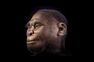 Turi naują hipotezę, kodėl išnyko „hobitai“