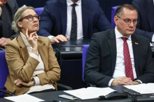 Naujosios JAV saugumo strategijos pradžiuginta AfD lankysis už Atlanto