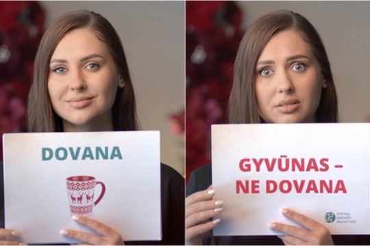 Specialistai ragina švenčių proga nedovanoti gyvūnų: tai gali turėti liūdnų pasekmių