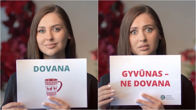 Specialistai ragina švenčių proga nedovanoti gyvūnų: tai gali turėti liūdnų pasekmių