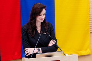 I. Ruginienė palaiko „aušriečių“ iniciatyvą audituoti gynybos pirkimus: niekada nebuvau prieš