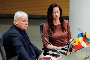 Biudžeto priėmimo Seime metu – nejauki situacija I. Ruginienei