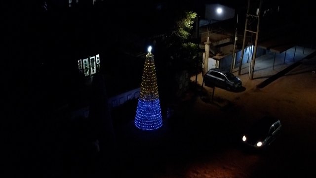 Iš pimo žvilgsnio nė nepasakytum, iš ko pagaminta ši Kalėdų eglė: kūrėjas darbu pasiuntė svarbią žinutę