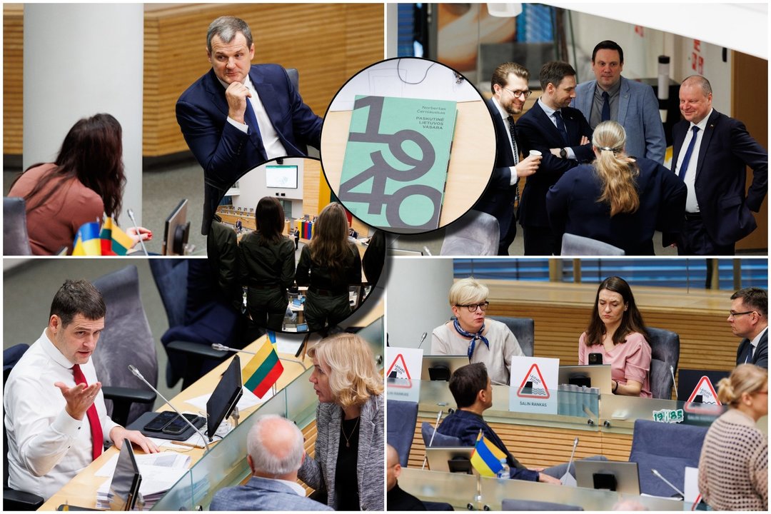 Seime – paskutinis balsavimas dėl biudžeto ir LRT pataisų teikimas.<br>Lrytas koliažas