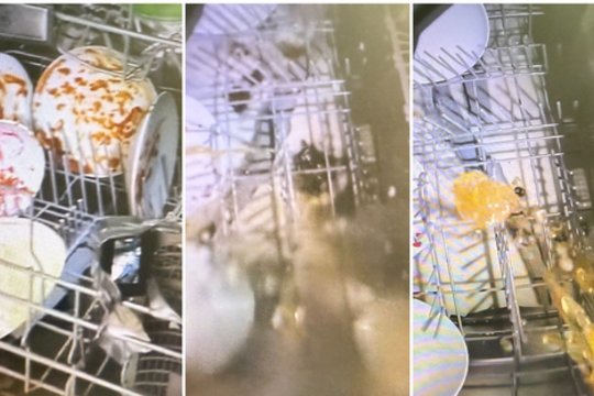 Įdėjo kamerą į indaplovę ir ją įjungė: vaizdas viduje pribloškė, dabar daugelis bijos ja naudotis