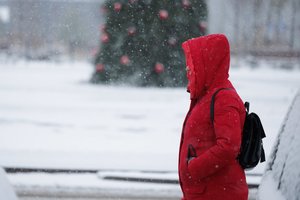 Orai trumpam kol kas labiau primins žiemą: sinoptikas pranešė, kur ir kada sulauksime sniego