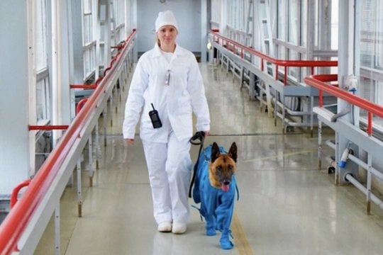 Pastebėjus įtartiną daiktą Ignalinos atominėje elektrinėje – neįprastas vaizdas