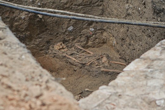 Varėnos rajone rasti žmogaus griaučiai – tyrimo ėmėsi policija su ekspertais