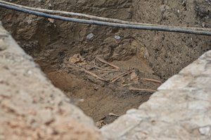 Varėnos rajone rasti žmogaus griaučiai – tyrimo ėmėsi policija su ekspertais