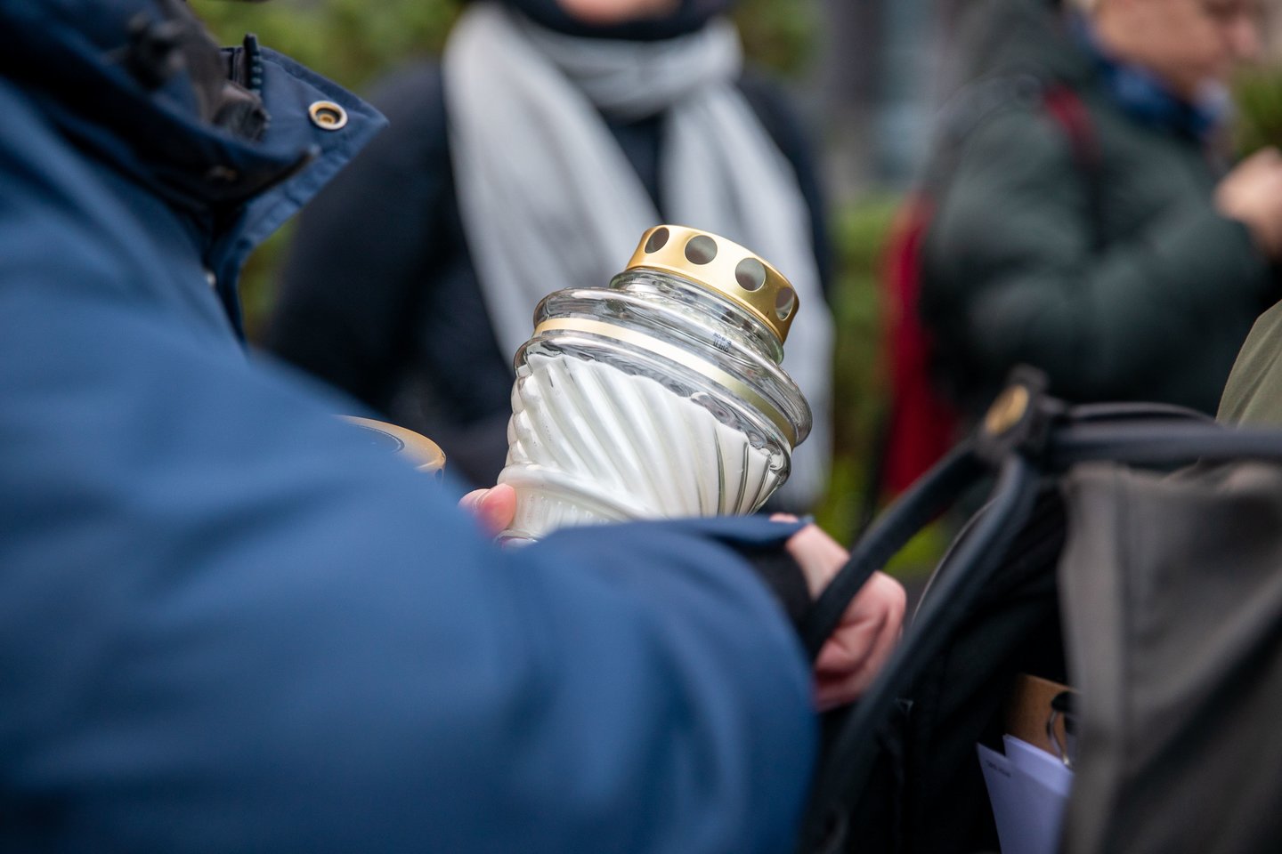   Akcija „In memoriam „Valstybė, kuri veikia“ 2024–2025“<br> G.Vaišvilos (ELTA) nuotr.