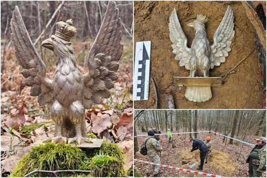 Lenkijos miškuose rastas du kilogramus sveriantis aukso ir sidabro erelis