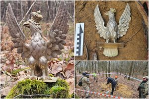Lenkijos miškuose rastas du kilogramus sveriantis aukso ir sidabro erelis
