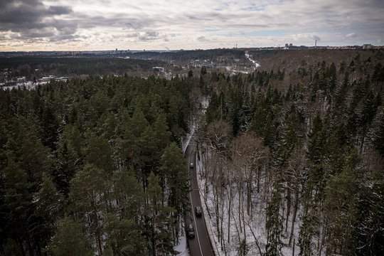 Praėjusios kadencijos metu 120 verslų ir organizacijų siekė daryti įtaką miškų politikai
