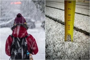 Žiema trumpam priminė apie save: dalyje Lietuvos pasirodė sniegas