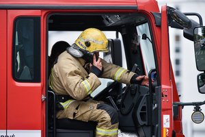 Šakių rajone ant važiuojančio automobilio užvirto medis