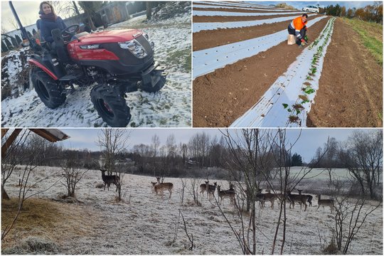 Jauni žmonės skatinami ūkininkauti: gali imti ir lengvatines paskolas, ir jau ruošti verslo planus būsimoms dotacijoms
