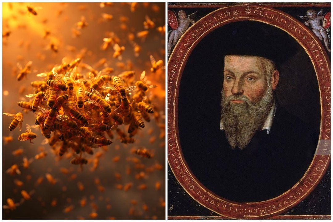 Nostradamo pranašystės apie 2026 metus užminė mįslių: kraujas ir didysis bičių spiečius