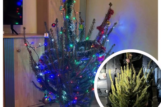 Savo namus vyras kasmet puošia ypatinga žaliaskare: ne visi prekybininkai tokią turi