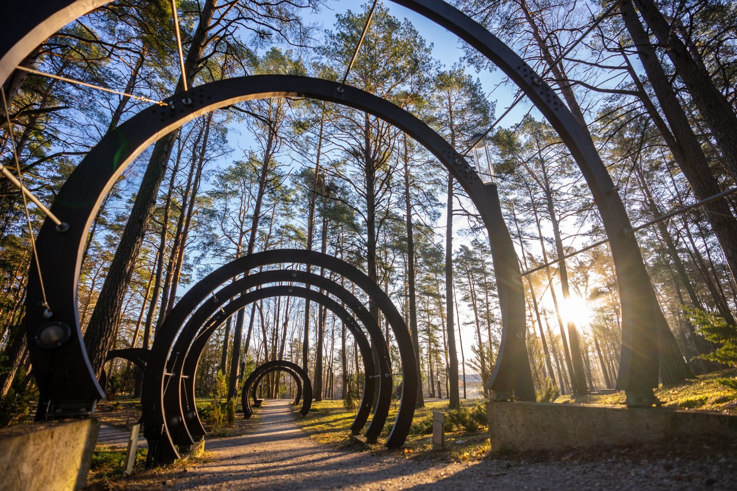 Druskininkai tampa ne tik Lietuvos, bet ir Europos traukos tašku tiems, kurie ieško tikro, natūralaus ilgaamžiškumo ir sveikatinimo praktikų.