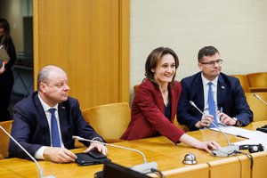 Opozicija toliau trolina valdančiuosius: parengė planą, kaip posėdį ištempti iki rytojaus vidurdienio