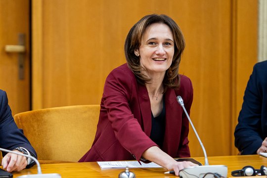 V. Čmilytė-Nielsen: mes neleisime per savaitę pravažiuoti per visas procedūras