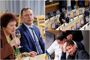 Seimas po 7 valandų svarstymo skirstėsi gilią naktį: pritarta tik dėl katino, „socdemai“ degant laužams kėlė taures