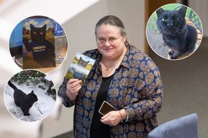 Garsiausias katinas Lietuvoje: A. Širinskienė papasakojo, kas tas Seime „prastumtas“ Nuodėgulis