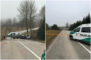 Mirtina kaktomuša Trakų r.: vienas žmogus žuvo, kelias buvo uždarytas kelioms valandoms