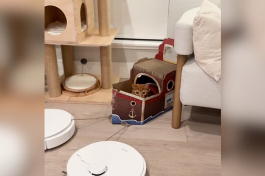 Įmantrus kalėdinis pasivažinėjimas: tam pasitarnavo ir buities prietaisai