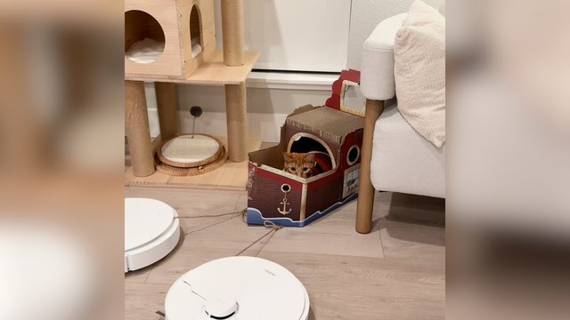 Įmantrus kalėdinis pasivažinėjimas: tam pasitarnavo ir buities prietaisai