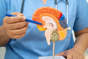 Tyrimas keičia požiūrį į „nesveiką“ produktą: prieš demenciją – netikėtas priešnuodis