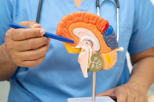 Tyrimas keičia požiūrį į „nesveiką“ produktą: prieš demenciją – netikėtas priešnuodis