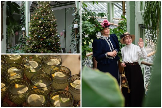 Kalėdos pagal grafus Tiškevičius: kaip šventė, ką valgė, ką dovanojo