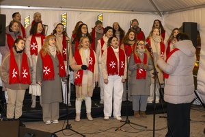 „Maltiečių sriubos“ finalinis renginys: Vilniaus Katedros aikštė pakvipo gardžiomis žinomų virtuvės šefų sriubomis
