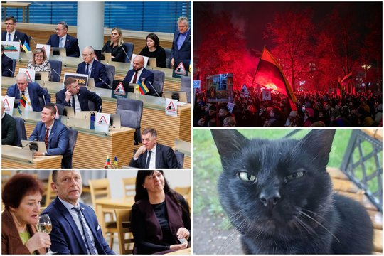 Chaosas Seime ir A. Širinskienės katinas – pasaulio žiniasklaidos giganto akiratyje