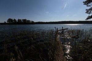 Į Lazdijų rajoną žvejoti atvykusio vyro tykojo tragedija: vietiniai šiam ežerui turi atskirą pavadinimą