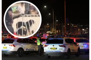 Pasaulį apskriejo širdį verianti akimirka: po šaudynių paplūdimyje šuo nepaliko šeimininko kūno