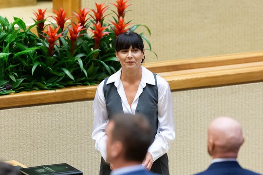 Karštis dėl LRT įstatymo pataisų Seime tik didėja: valdantieji kreipėsi į etikos sargus