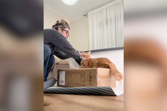 Dovanų pakavimas virto kantrybės išbandymu: keturkojis procesą suprato visai kitaip