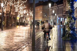 Prieš šventes – naujausia sinoptikės prognozė: kiek laikysis šaltis