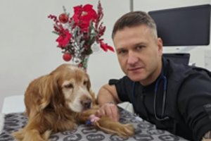 Kūčių rytą – naujausia garsaus veterinaro žinia apie Gauso kovą dėl gyvybės