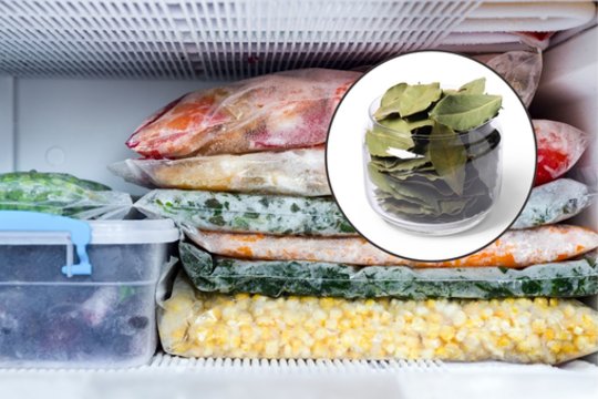 Retas, kuris tai išbandė: patyrę virėjai atskleidė, kodėl šaldyti lauro lapelius naudingiau nei džiovinti