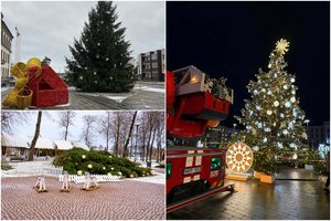 Istorija kartojasi – vėjas vėl griovė miestų puošmenas: eglės virto ir sviro ant šonų