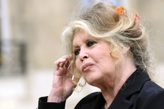 Nerimą kėlusios žinios: kas vyko likus keliems mėnesiams iki kino legendos Brigitte Bardot mirties